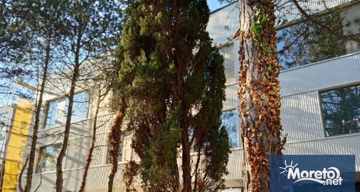 Карин дом строи новия си терапевтичен и образователен комплекс във