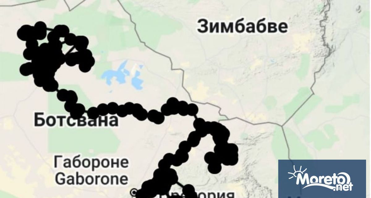 Малкото кресливо орле което получи името Александрия трябва да се