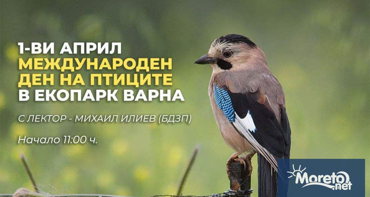 Днес 1 април от 11 00 часа Екопарк Варна ще отбележи Международния