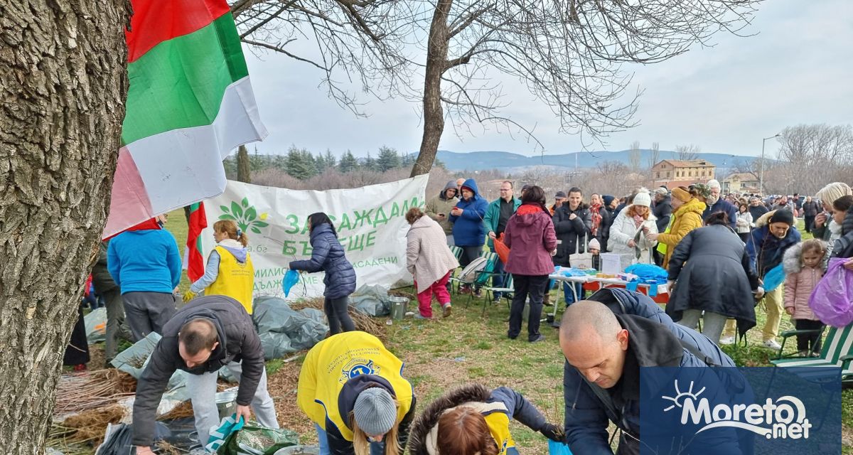 Гората бг ще подари днес 15 000 плодни медоносни и горски
