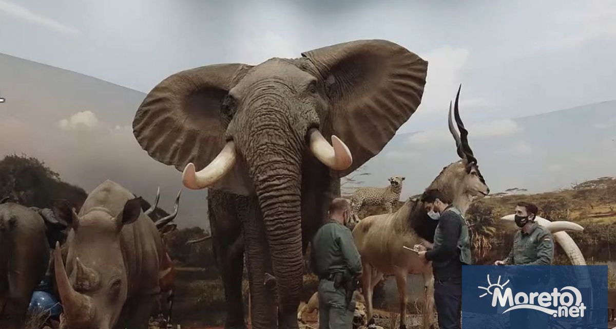 Гражданската гвардия на Испания откри в община Бетера Валенсия 1090