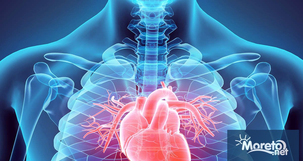 Американски учени от Бостънския университет са разработил миниатюрно копие на