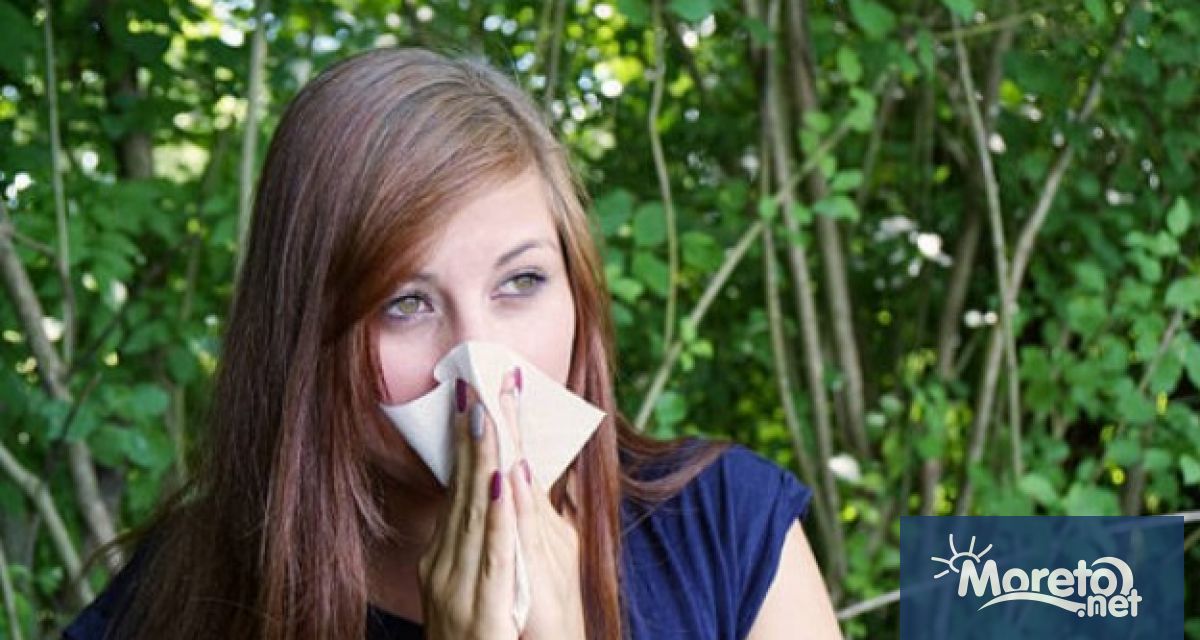 Сенната хрема е една от най разпространените алергии Името й идва