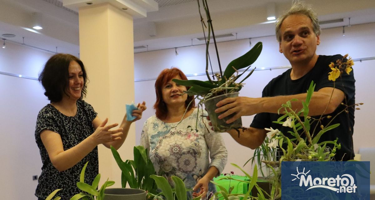 Малък Орхидеен фестивал за пръв път ще събере във Варна