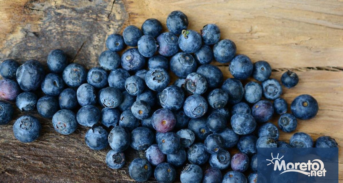 Блогърката и химичката Шарийн Ананд изброи храни които подмладяват кожата