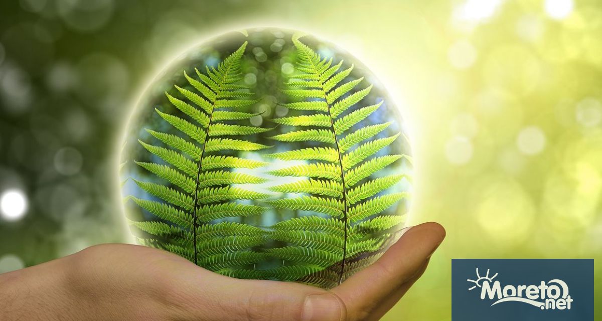 Министерството на околната среда и водите обяви началото на тазгодишната