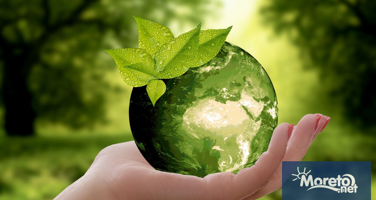 На 5 юни отбелязваме Световния ден на околната среда. Тази
