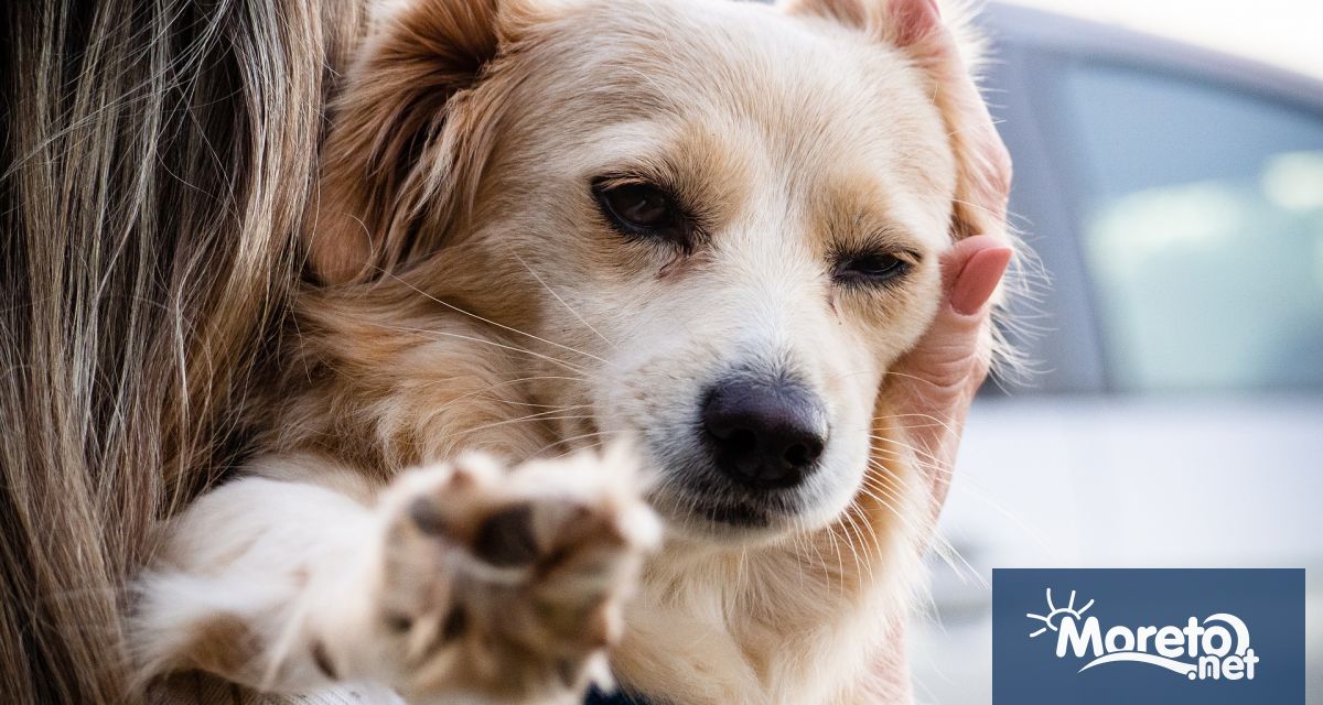 Министерството на правосъдието на Гърция затегна законодателството за огнестрелните оръжия