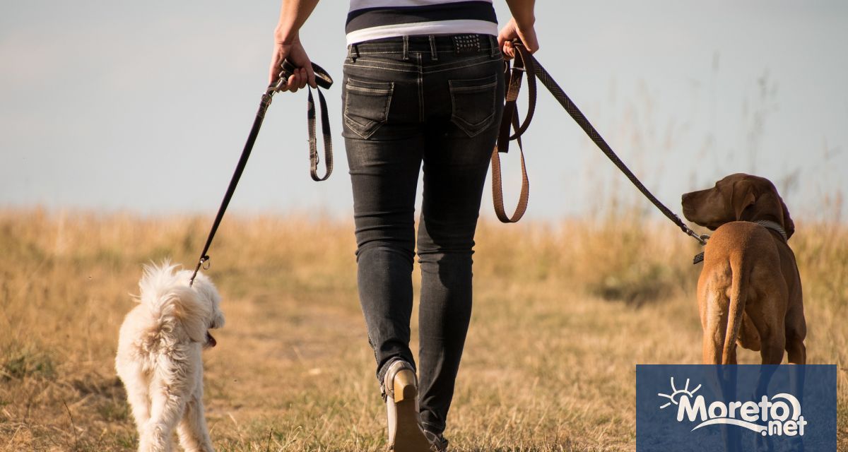 Българската агенция по безопасност на храните иска да бъдат направени