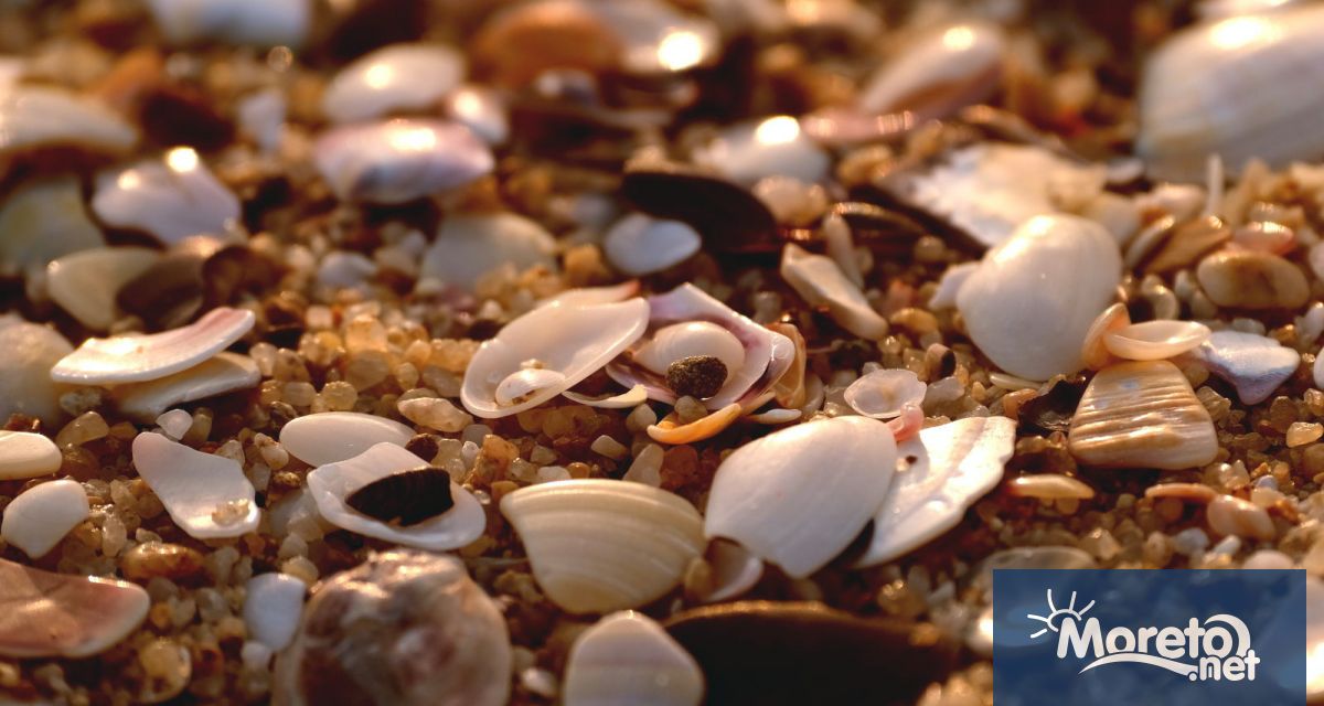 През следващото денонощие над по голямата част от страната облачността ще