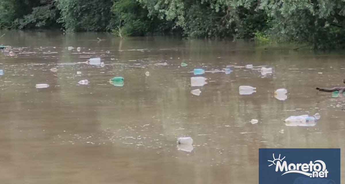 Придошлата вследствие на валежите в последните дни река Камчия изхвърли