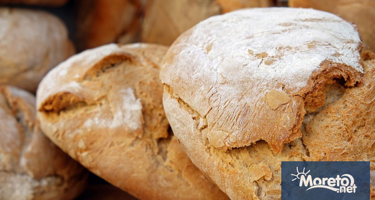 Българските потребители консумират хляб, произведен от изключително нискокачествено украинско зърно,