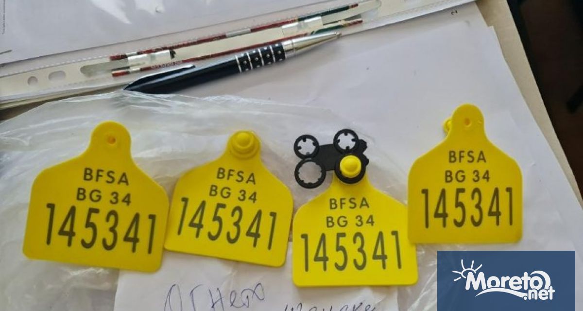 Мащабна операция на ГДБОП и Европейската прокуратура разкри злоупотреби с