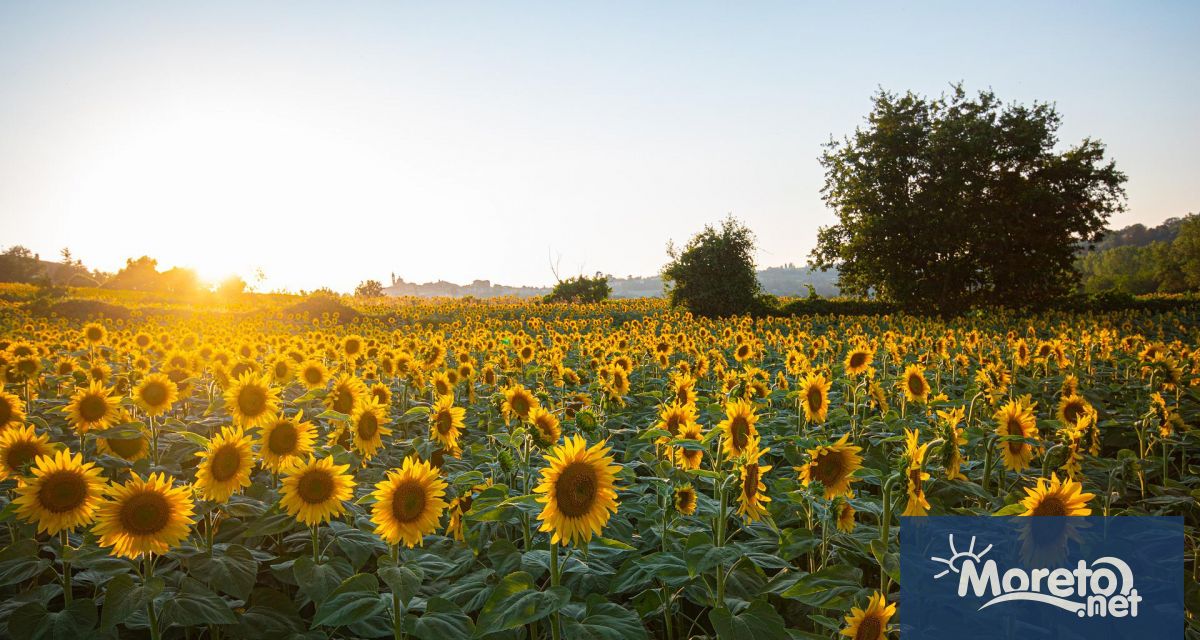 78 33 лв ха е ставката определена със заповед на министъра на