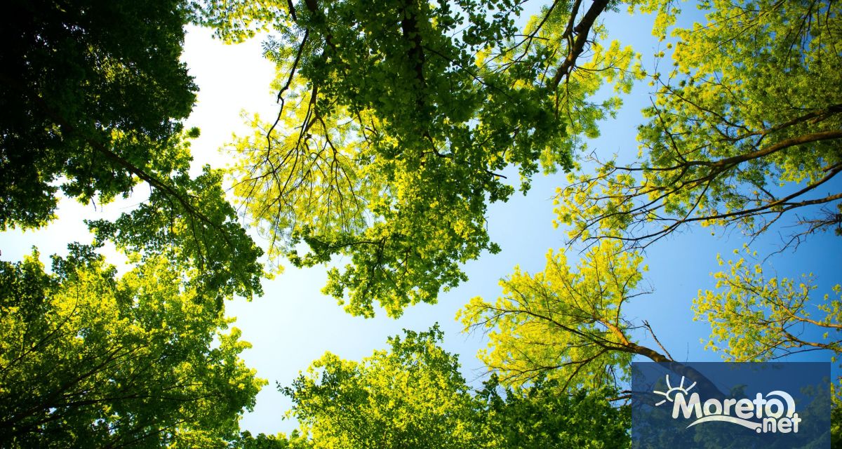 Депутатите спориха късно в петък и за промените в Закона