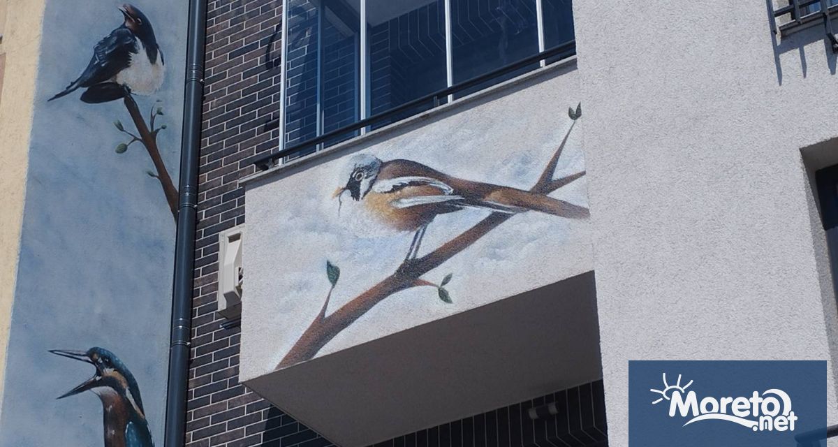 Често минавайки покрай жилищните сгради забравяме да обърнем поглед към