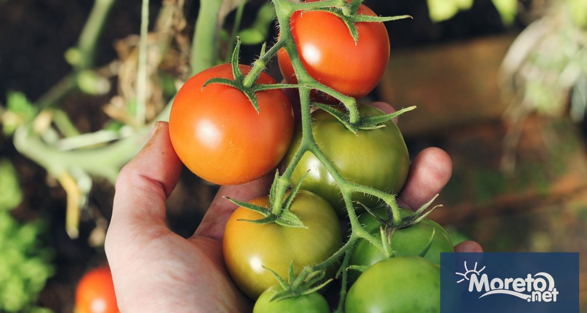 От днес 3 юли 2023 г със заповед на министъра