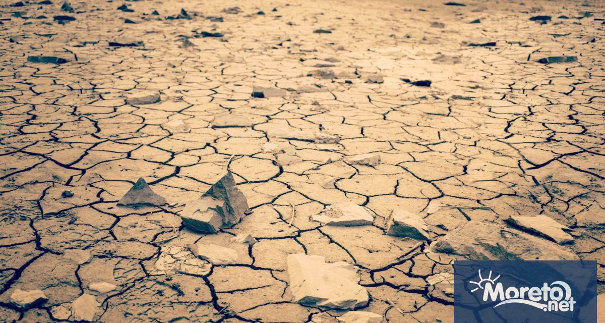 Безпрецедентна суша е обхванала Стария континент. Повечето климатолози са на