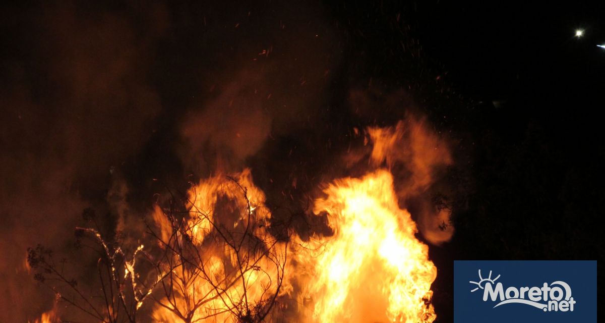 Голям пожар избухна между два манастира в Света гора. Заплашен