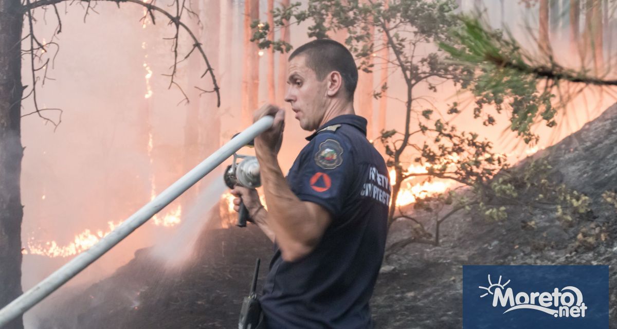 Голям пожар избухна между селата Микрево Каменица и Кърпелево в