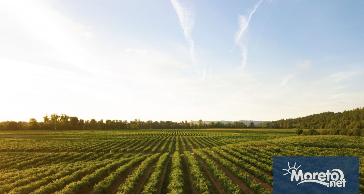 Приеми за над 2 2 млрд лева по най атрактивните интервенции за