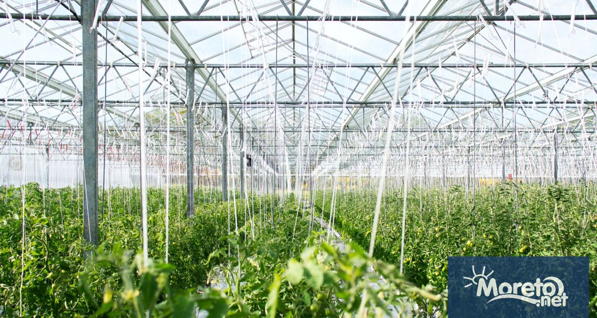 Министерство на земеделието и храните стартира прием на заявления за