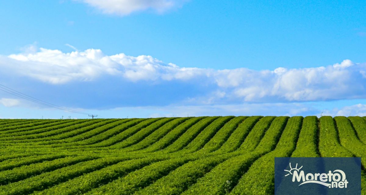 Земеделски производители от Шуменско готвят бунт заради предстоящо спиране на