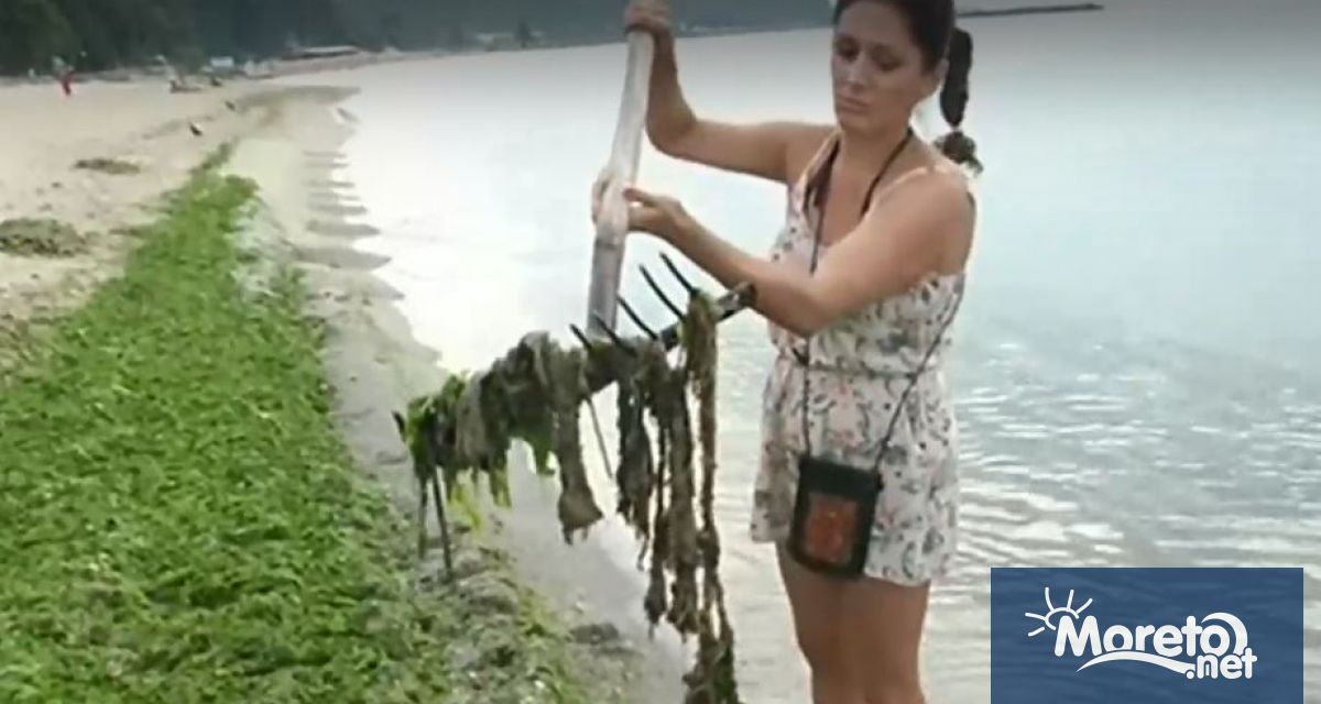 Туристи се натъкнаха на болнични отпадъци в морската вода на
