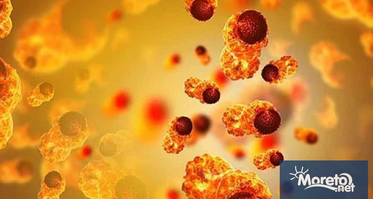 Кръвен тест за повече от 50 вида рак изглежда истински