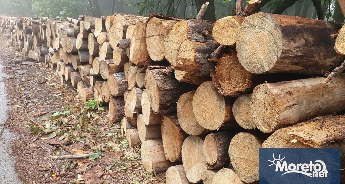 Доставките на дърва са на 85 Миналият месец е рекорден
