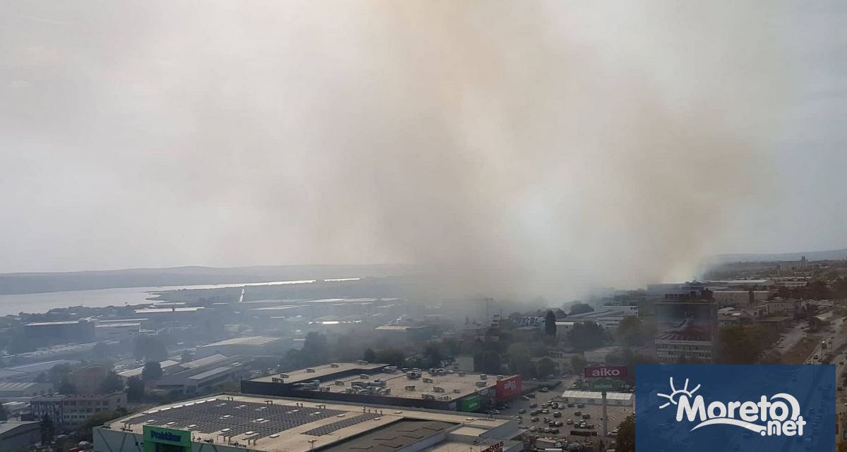 Пожар гори в голям участък до завод Хайат в Западна
