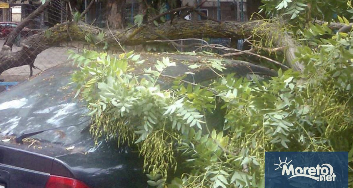 Вследствие на ураганния вятър преминал през град Дългопол от 03