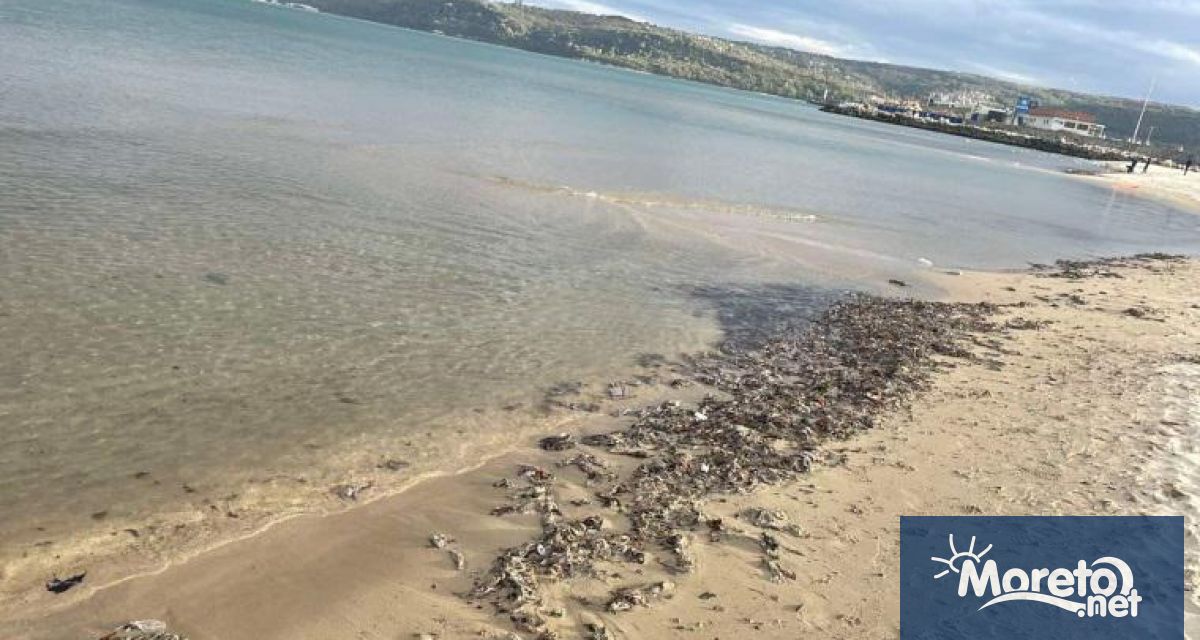 Замърсяване от хиляди мокри кърпички бе регистрирано на плажната ивица