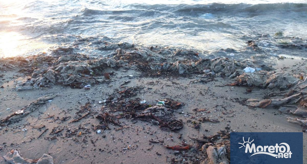 Голямо количество мокри кърпички изхвърлени от морето на Южния плаж