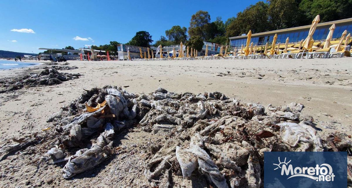Отпадни води генерирани от пристанищния комплекс и заведенията в него