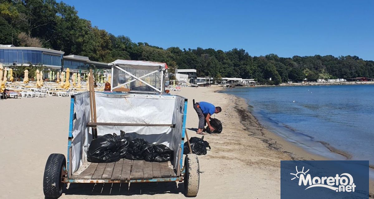 Хилядите мокри кърпички които морето изхвърли на плажа във Варна
