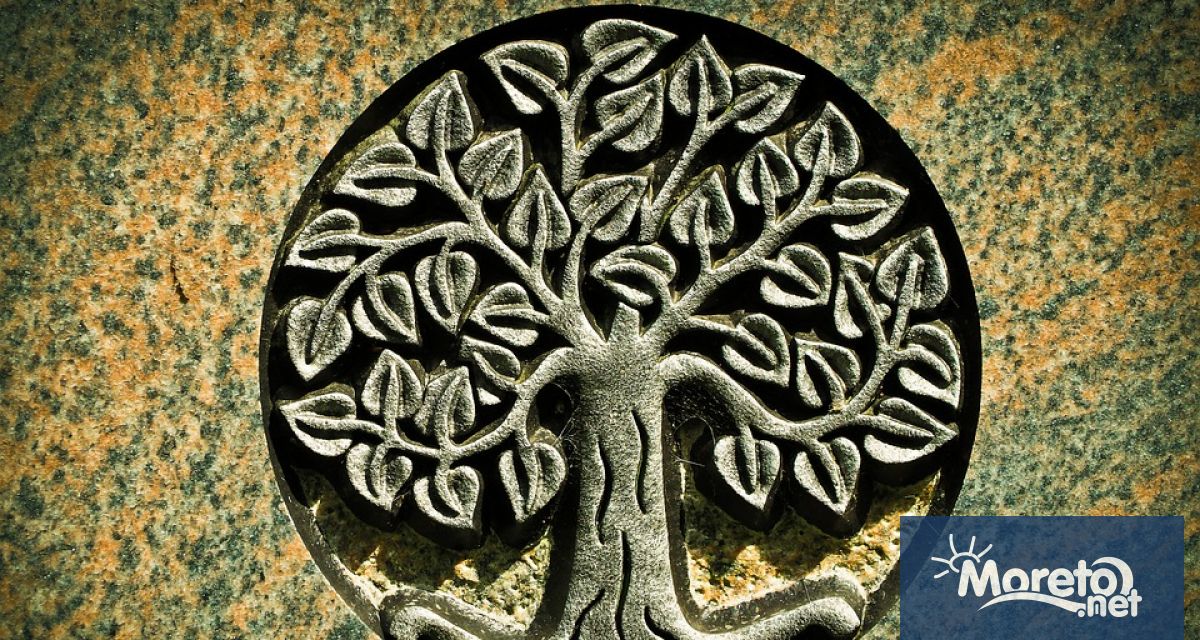 Дървото на живота е все по купувана висулка и това никак