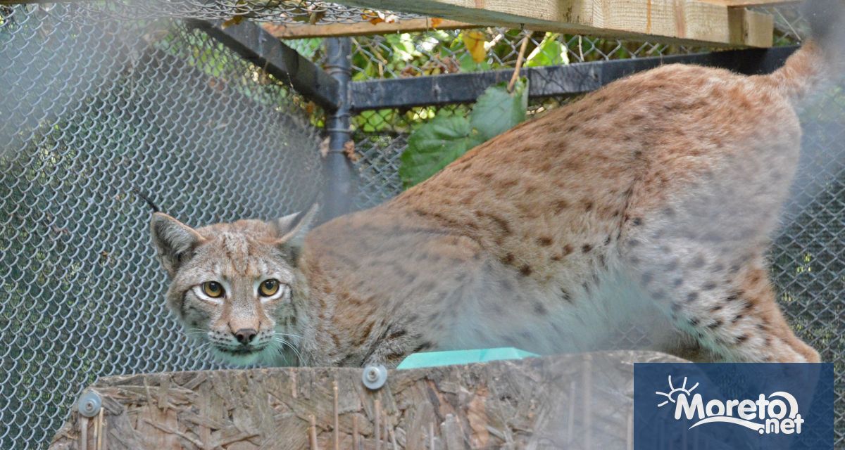 От 10 октомври понеделник желаещите да се запознаят с новите