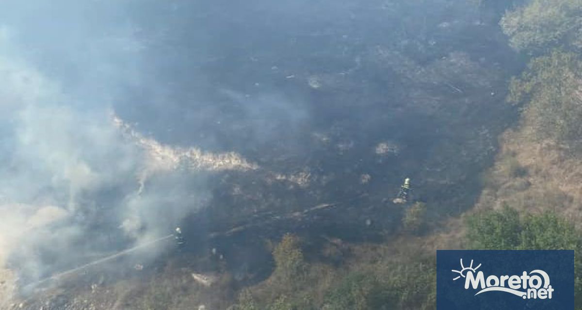 Сухи треви горят между Алати и LIDL във варненския кв