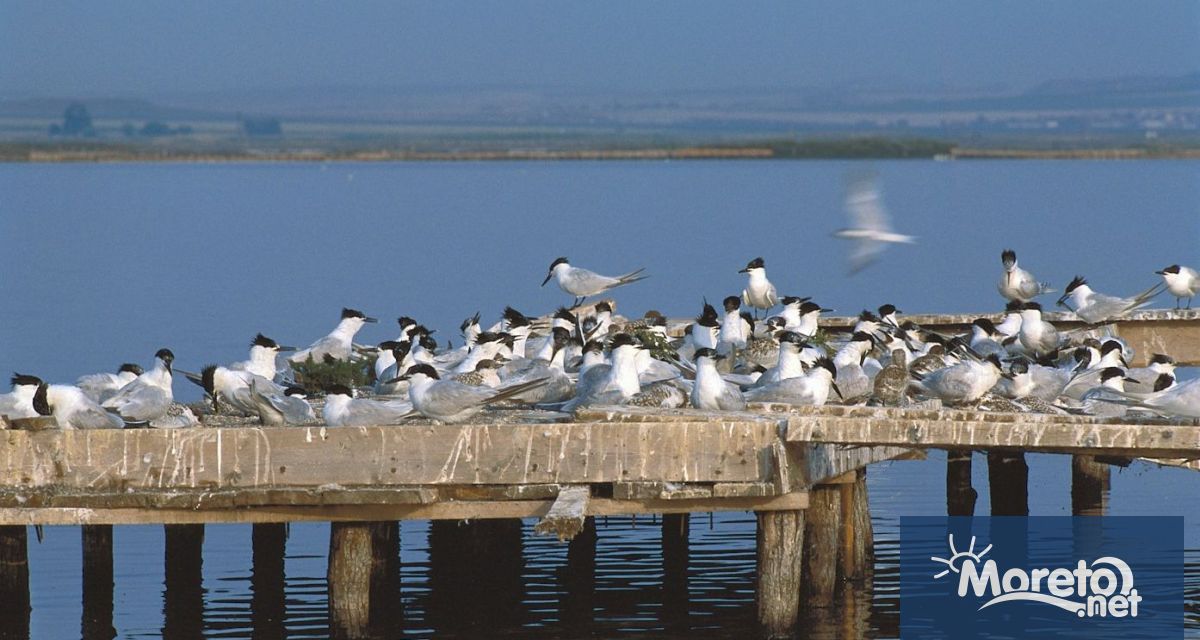 На 6 октомври четвъртък от 11 00 ч в Дома на