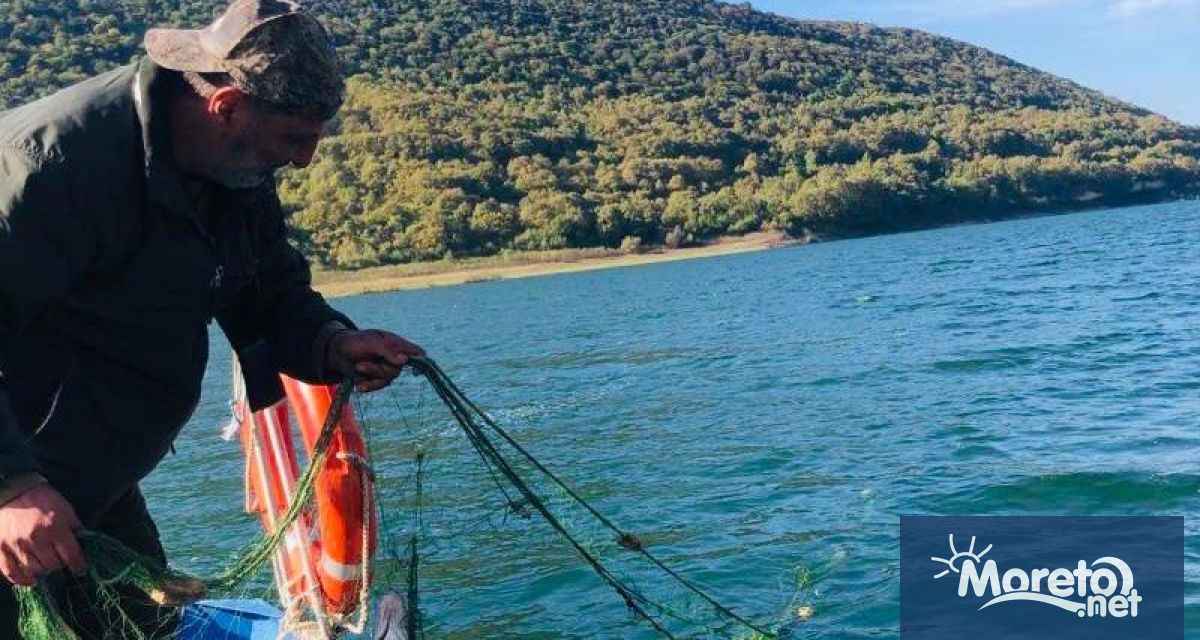 Служители на Рибарство и контрол във Варна извършиха масирани проверки