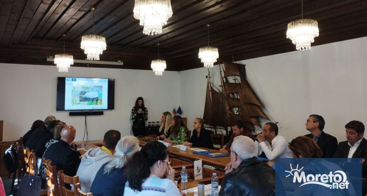 Изкуствен остров които да служи за гнездене на защитени видове