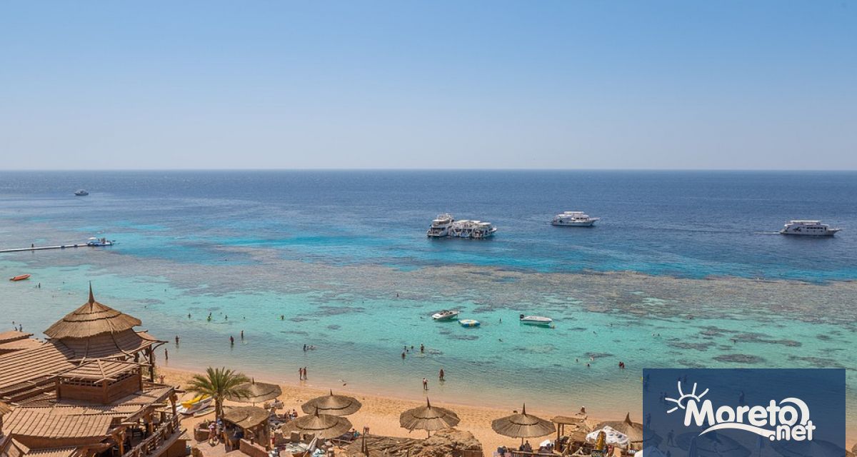 Край египетския бряг дълъг коралов риф сияе в хиляди цветове