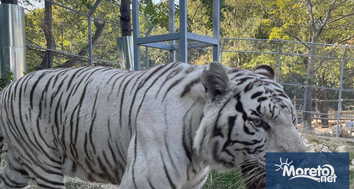 Да бъде разширен численият състав на екипа който работи във