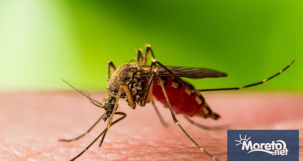 В американските щати Флорида и Тексас бяха потвърдени пет случая