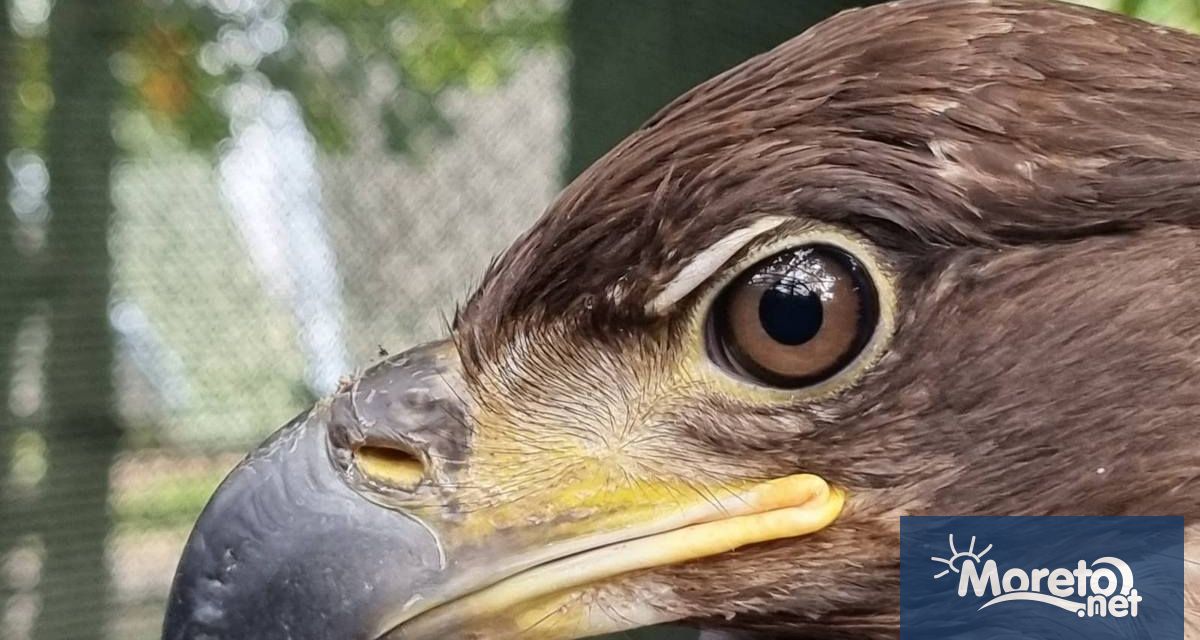 Днес експерти от РИОСВ Варна и представители на Общинско предприятие Център