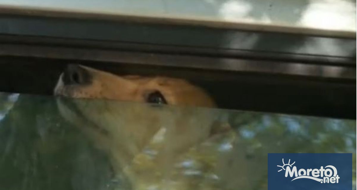 Живеещи на улица Владимир Смоленски във Варна сигнализираха че повече