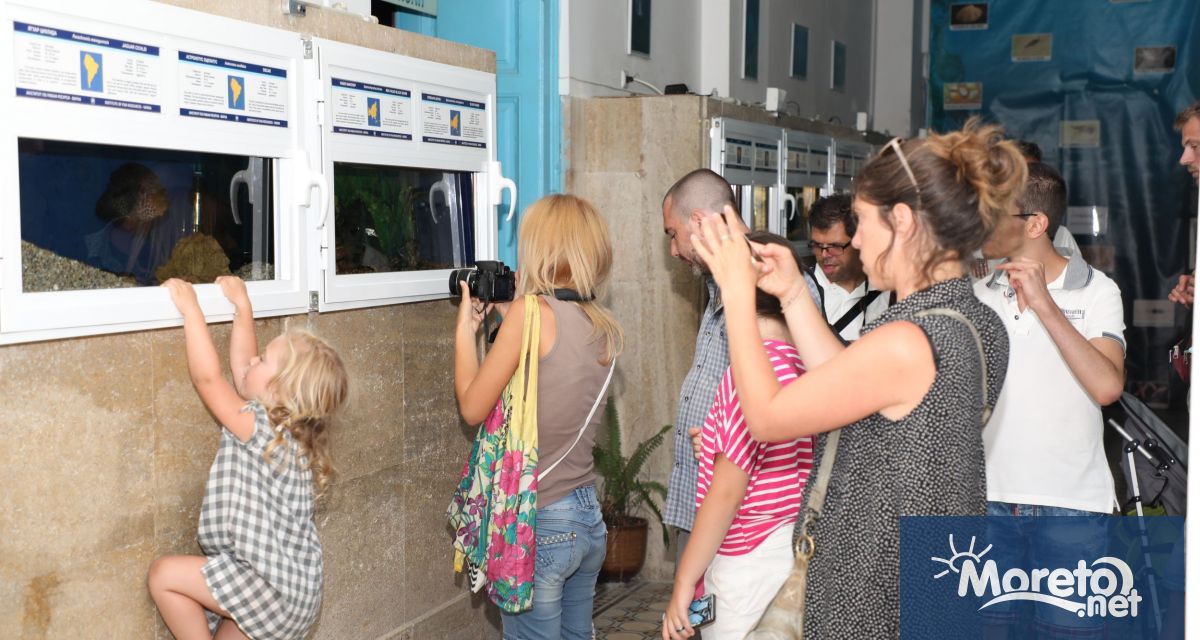 Аквариумът във Варна ще работи с безплатен вход за деца