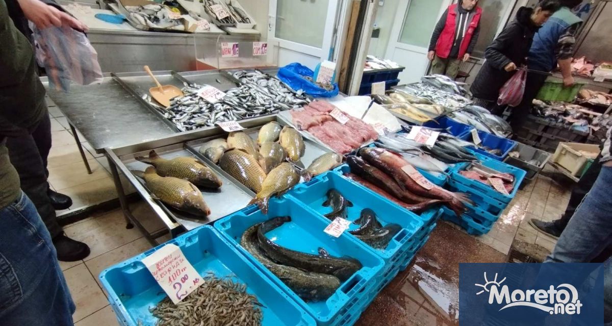 Огромно оживление цари на рибната борса във Варна видя репортер