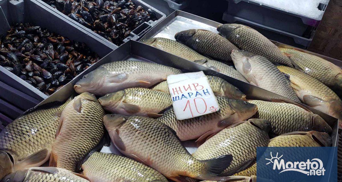 Рибарите в България ще могат да откриват рибни ресторанти и